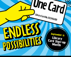 One Card, Endless Possibilities